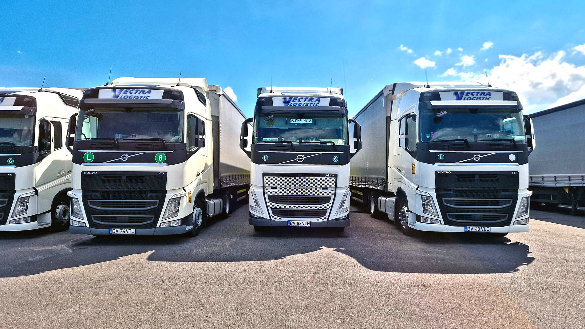 Company Transport